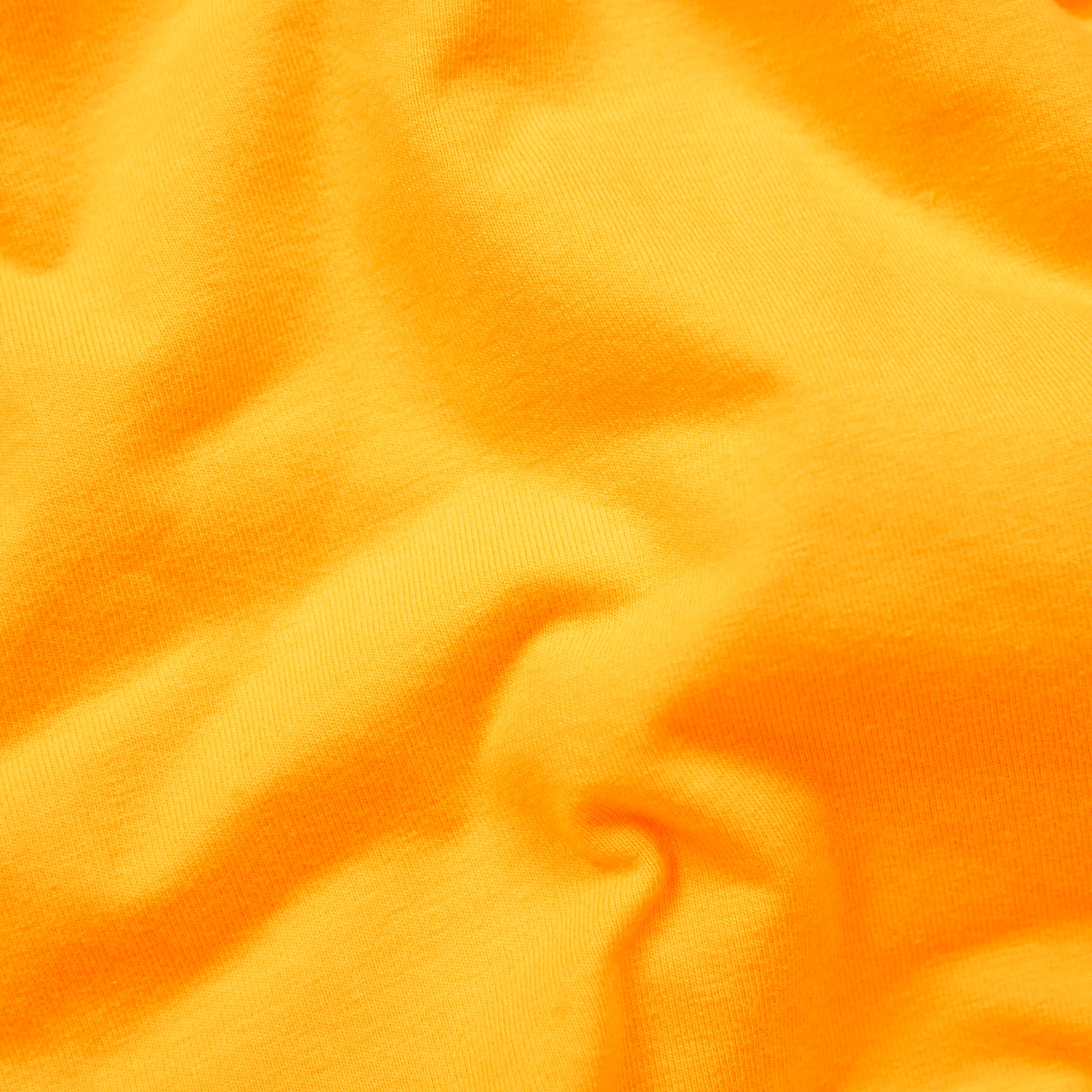 Apricots - Ladies Briefs - Image 4