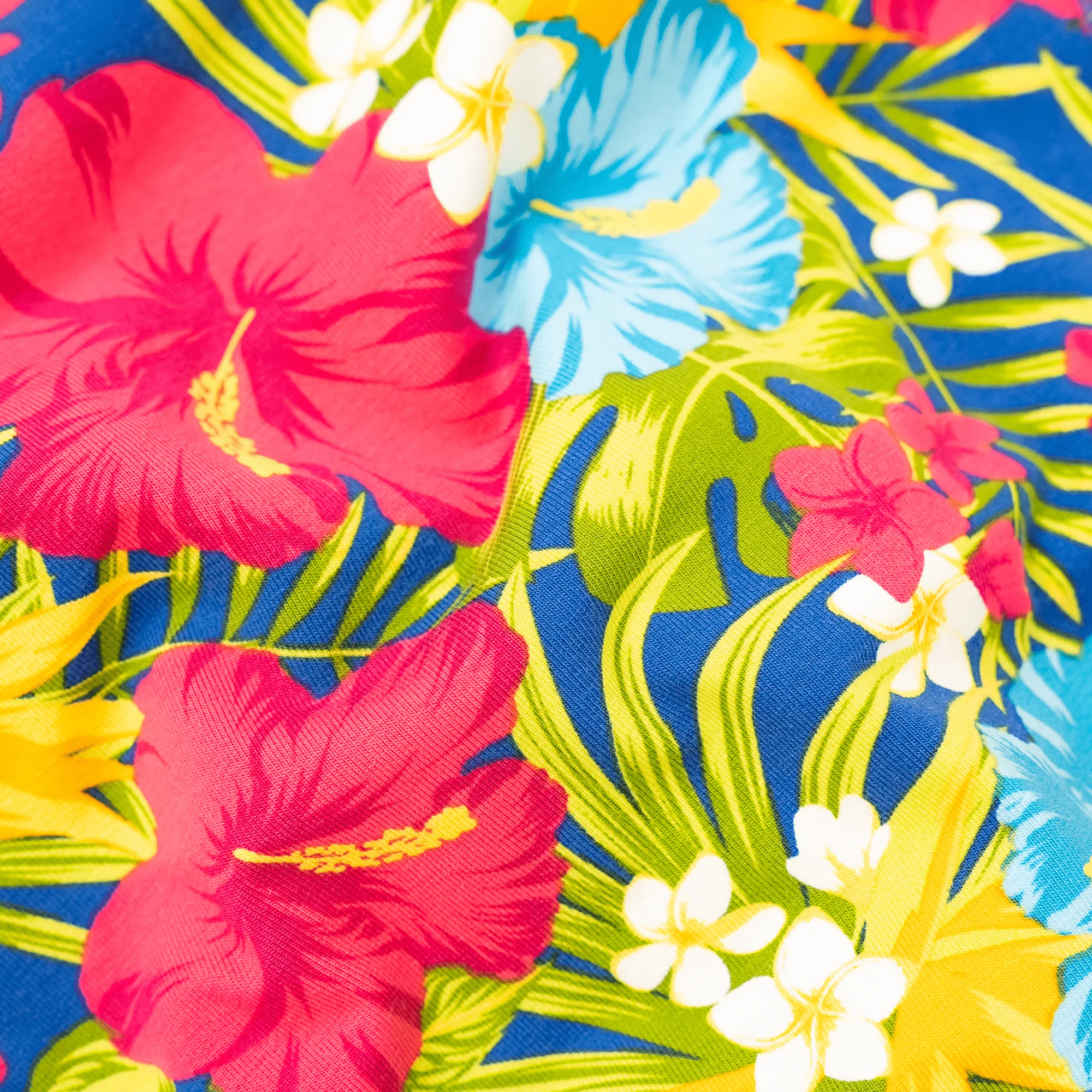 Tiki - Ladies Briefs - Image 4