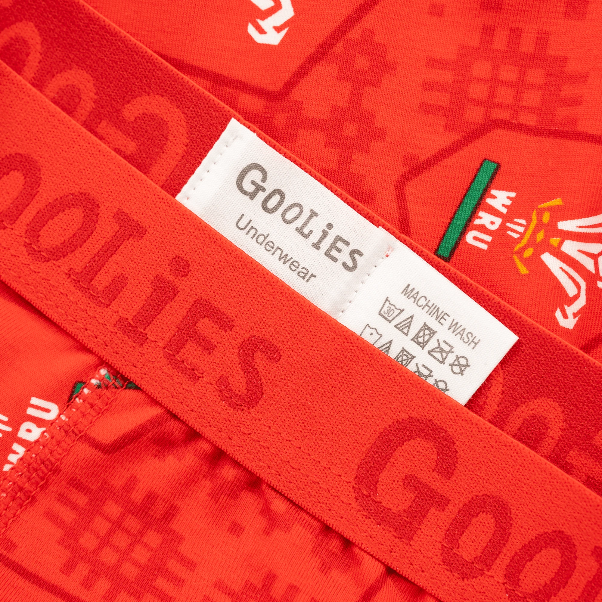 Welsh Rugby Union Home 25 - Kids Boxer Shorts - Goolies - Image 4