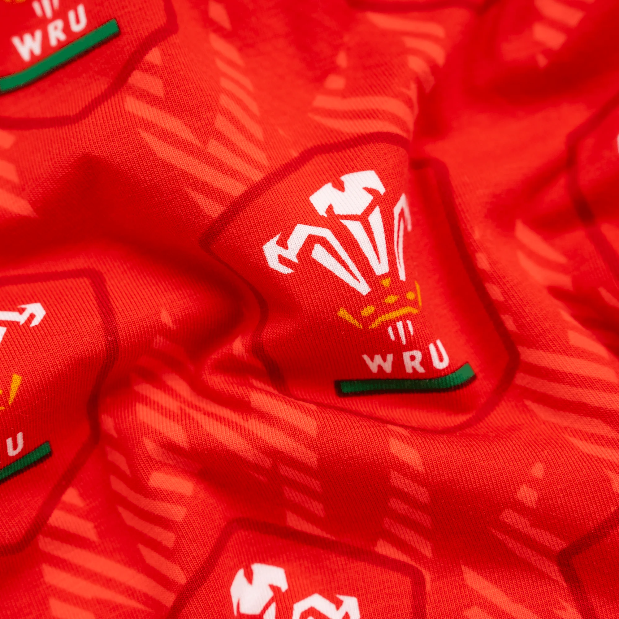 Welsh Rugby Union Flames - Ladies Thong - Image 4